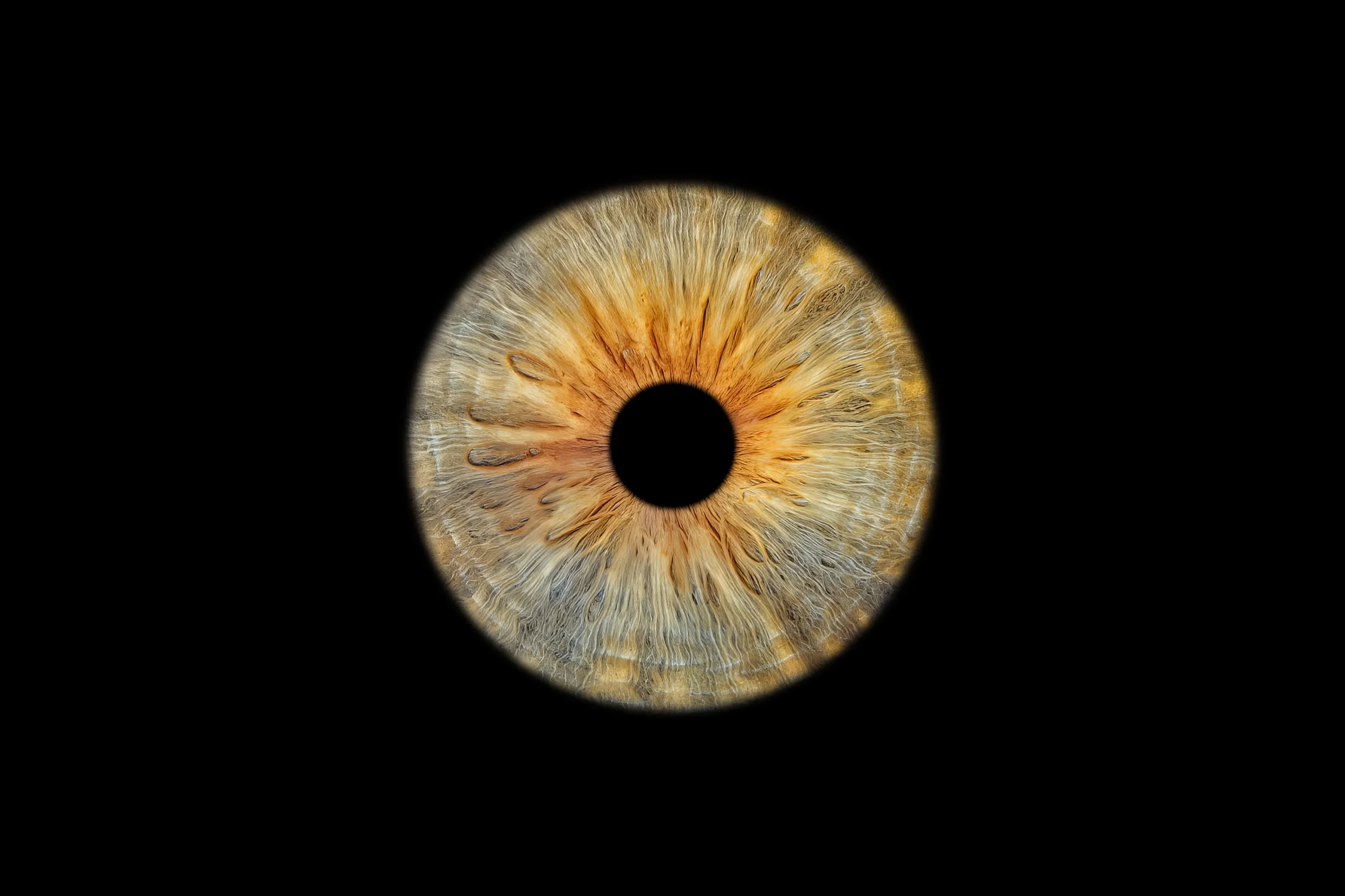 slide-background